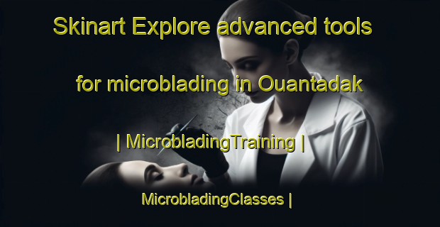 Skinart Explore advanced tools for microblading in Ouantadak | MicrobladingTraining | MicrobladingClasses | SkinartTraining-Niger